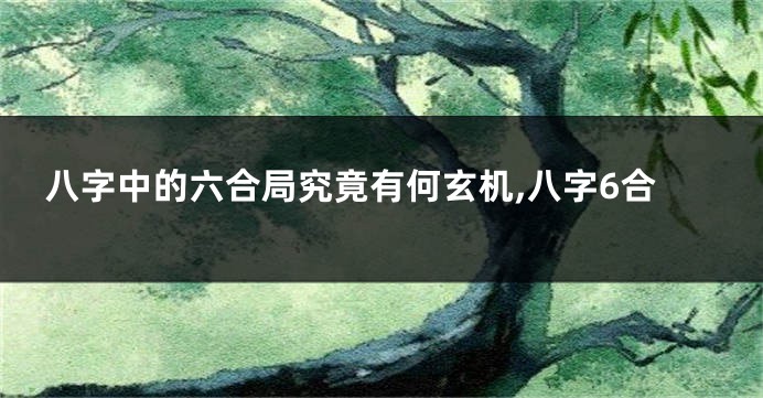 八字中的六合局究竟有何玄机,八字6合