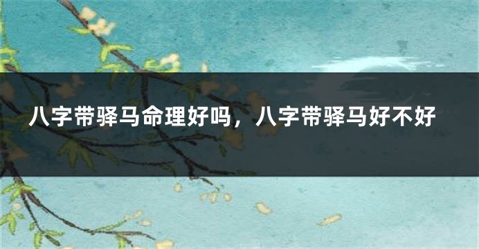 八字带驿马命理好吗,八字带驿马好不好