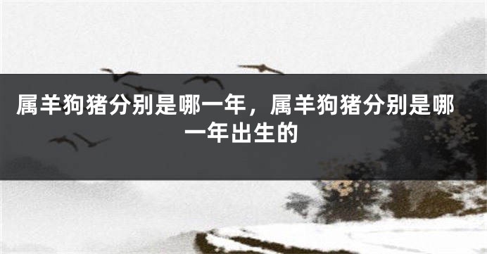 属羊狗猪分别是哪一年,属羊狗猪分别是哪一年出生的