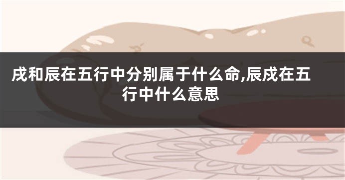 戌和辰在五行中分别属于什么命,辰戍在五行中什么意思