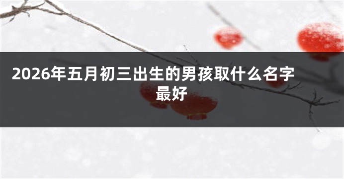 2026年五月初三出生的男孩取什么名字最好