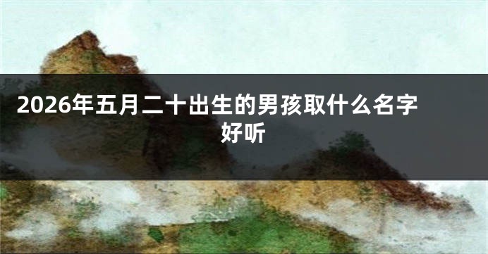 2026年五月二十出生的男孩取什么名字好听