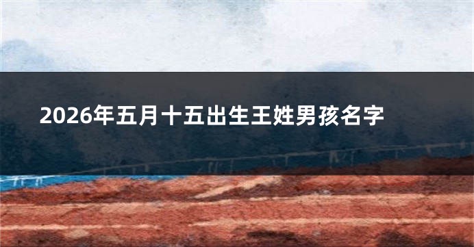 2026年五月十五出生王姓男孩名字