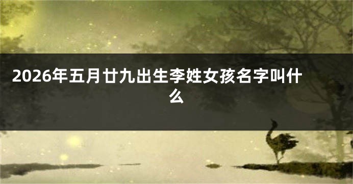 2026年五月廿九出生李姓女孩名字叫什么