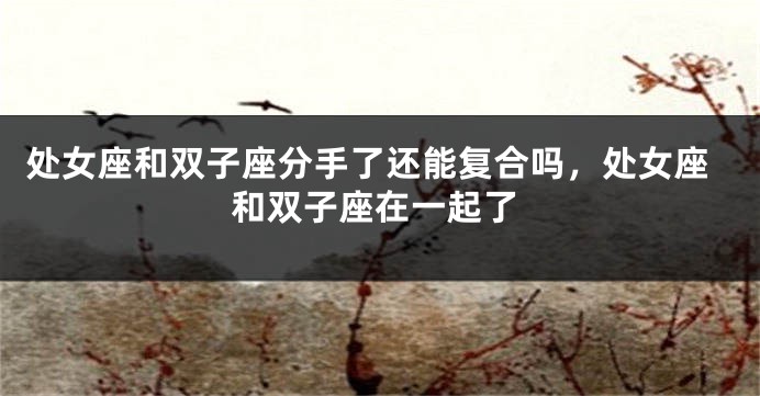 处女座和双子座分手了还能复合吗，处女座和双子座在一起了