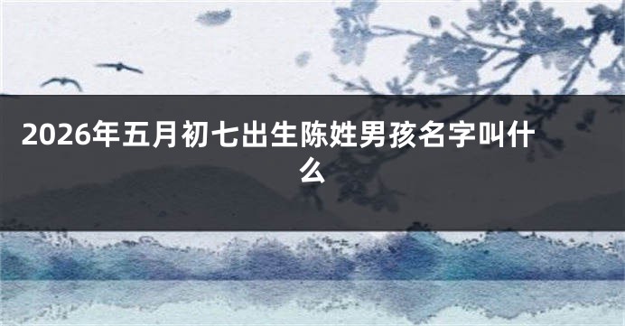 2026年五月初七出生陈姓男孩名字叫什么