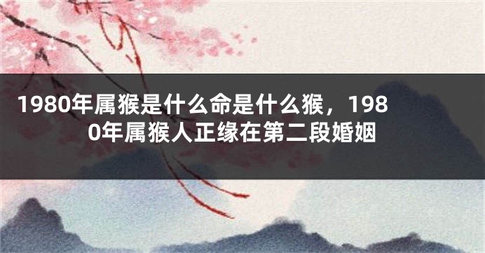 1980年属猴是什么命是什么猴，1980年属猴人正缘在第二段婚姻