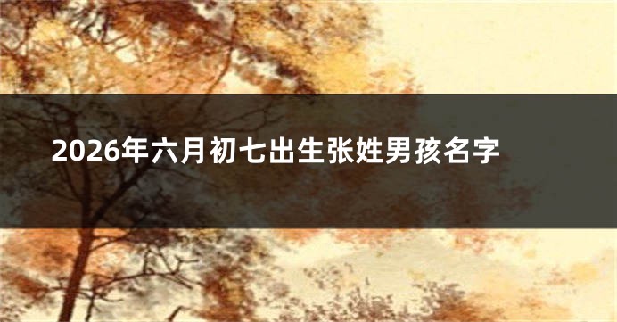 2026年六月初七出生张姓男孩名字
