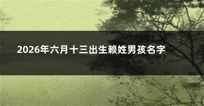 2026年六月十三出生赖姓男孩名字
