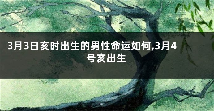 3月3日亥时出生的男性命运如何,3月4号亥出生