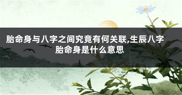 胎命身与八字之间究竟有何关联,生辰八字胎命身是什么意思