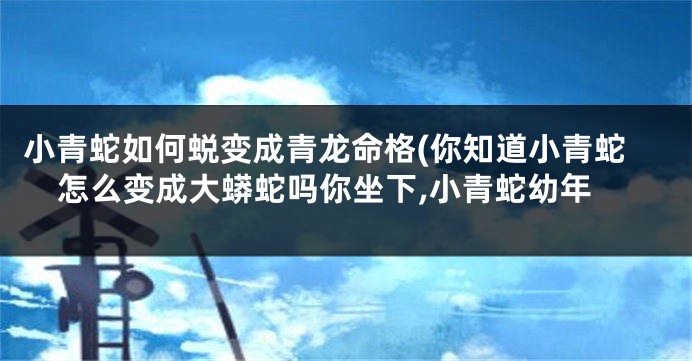 小青蛇如何蜕变成青龙命格(你知道小青蛇怎么变成大蟒蛇吗你坐下,小青蛇幼年