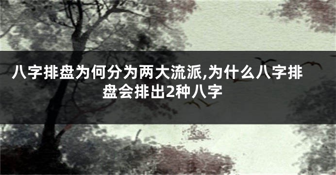 八字排盘为何分为两大流派,为什么八字排盘会排出2种八字