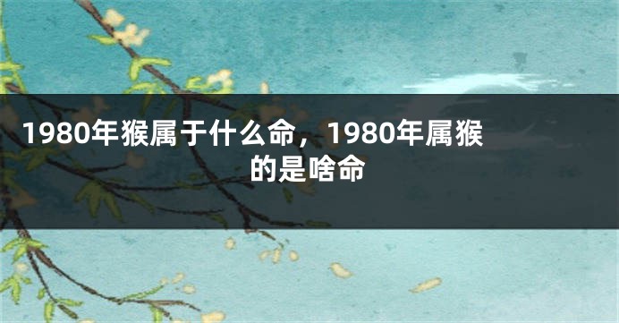 1980年猴属于什么命，1980年属猴的是啥命