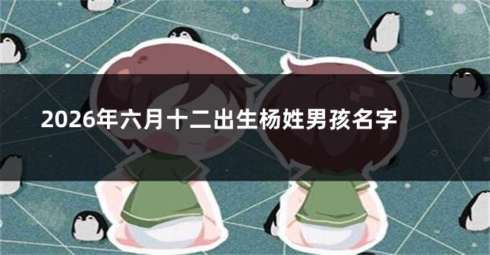 2026年六月十二出生杨姓男孩名字
