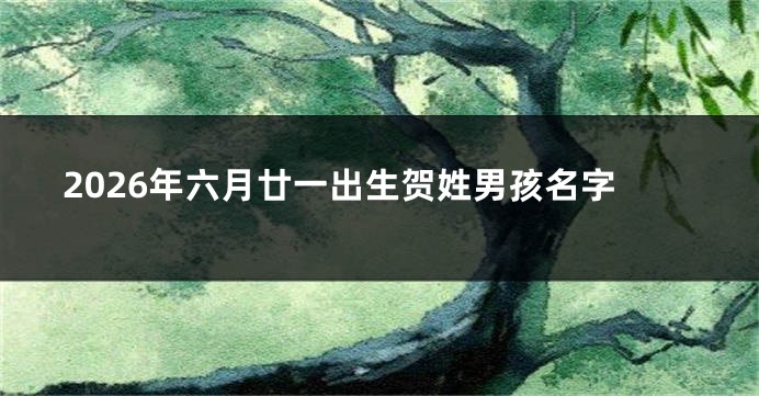 2026年六月廿一出生贺姓男孩名字