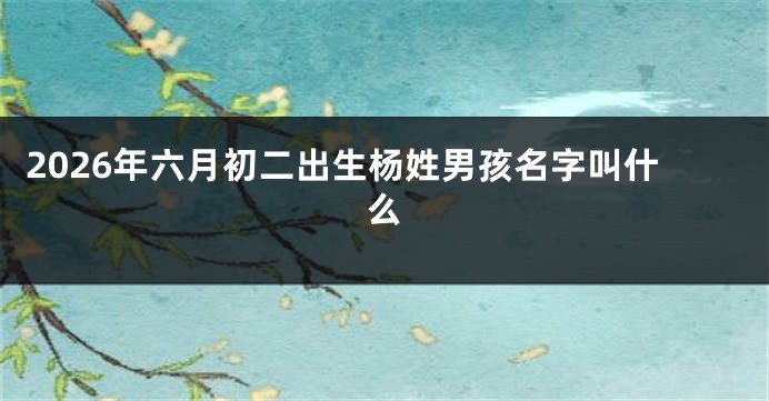 2026年六月初二出生杨姓男孩名字叫什么