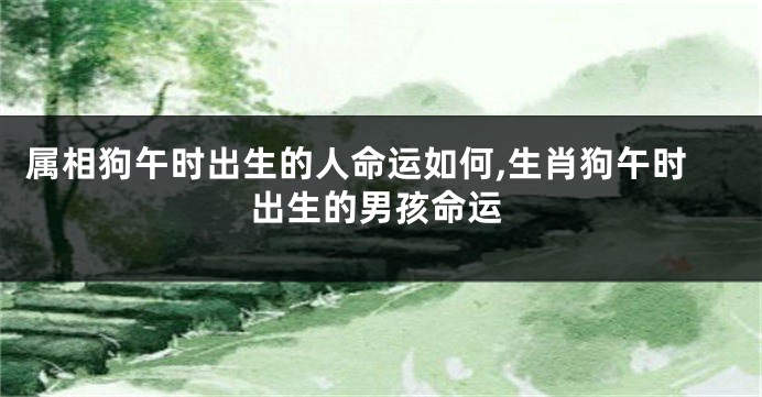 属相狗午时出生的人命运如何,生肖狗午时出生的男孩命运