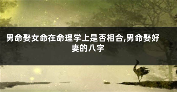 男命娶女命在命理学上是否相合,男命娶好妻的八字