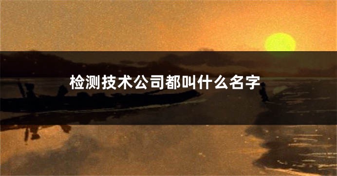 检测技术公司都叫什么名字