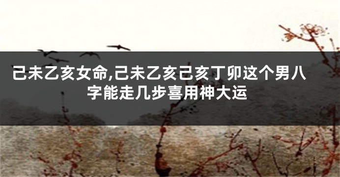 己未乙亥女命,己未乙亥己亥丁卯这个男八字能走几步喜用神大运