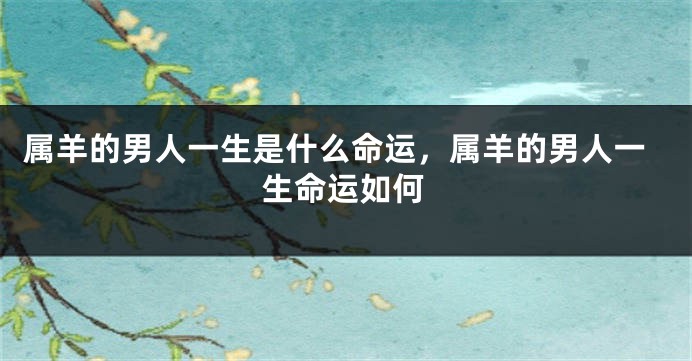 属羊的男人一生是什么命运,属羊的男人一生命运如何