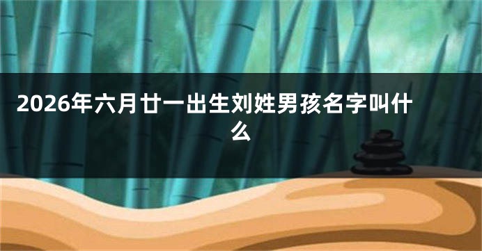 2026年六月廿一出生刘姓男孩名字叫什么