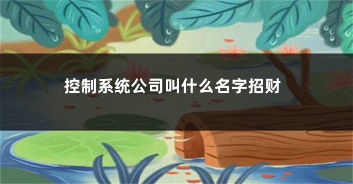 控制系统公司叫什么名字招财