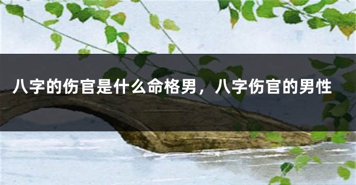 八字的伤官是什么命格男,八字伤官的男性