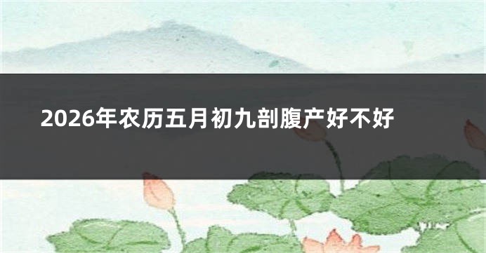 2026年农历五月初九剖腹产好不好