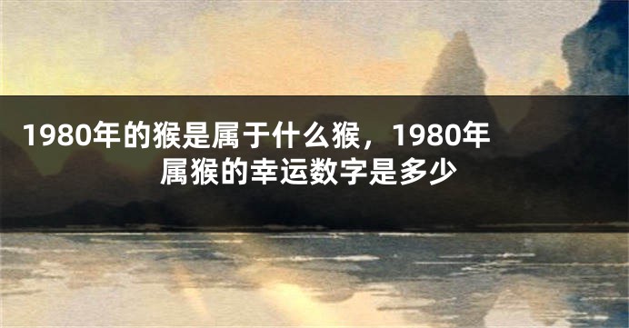 1980年的猴是属于什么猴,1980年属猴的幸运数字是多少