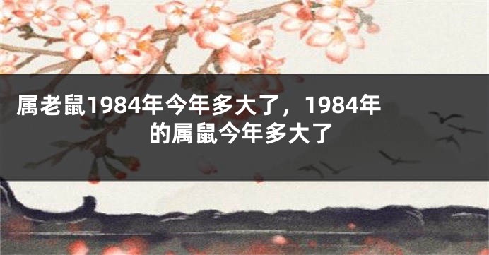 属老鼠1984年今年多大了，1984年的属鼠今年多大了