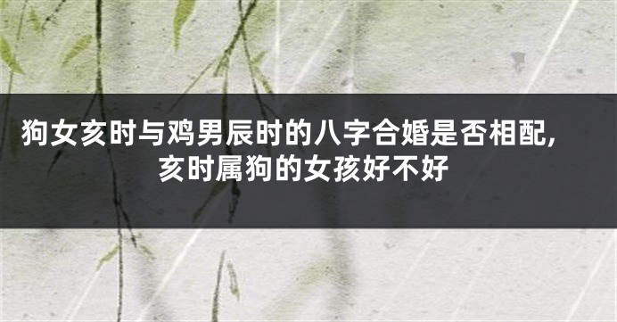 狗女亥时与鸡男辰时的八字合婚是否相配,亥时属狗的女孩好不好