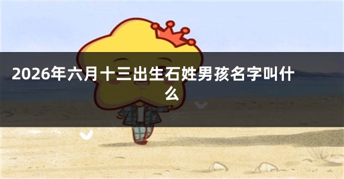 2026年六月十三出生石姓男孩名字叫什么