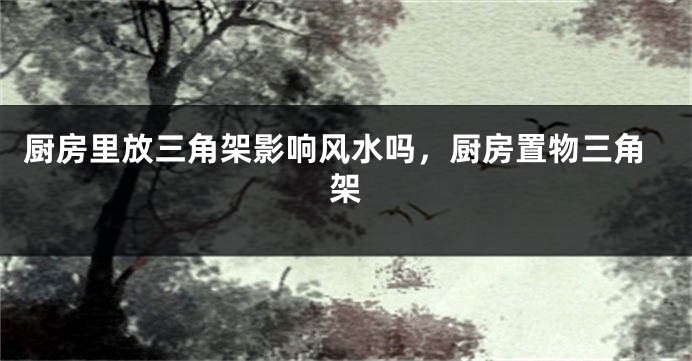 厨房里放三角架影响风水吗，厨房置物三角架