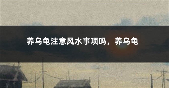 养乌龟注意风水事项吗，养乌龟