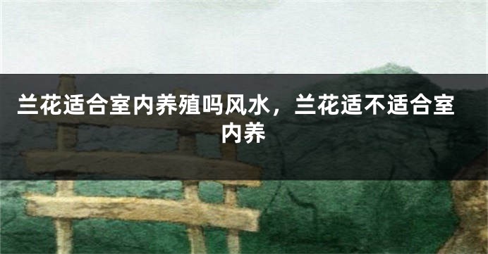 兰花适合室内养殖吗风水,兰花适不适合室内养