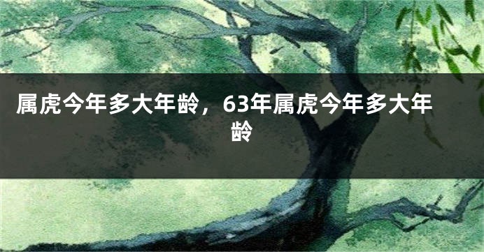 属虎今年多大年龄，63年属虎今年多大年龄