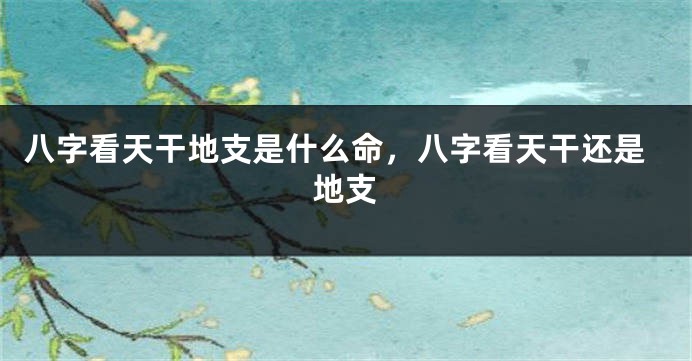 八字看天干地支是什么命，八字看天干还是地支