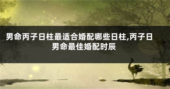 男命丙子日柱最适合婚配哪些日柱,丙子日男命最佳婚配时辰