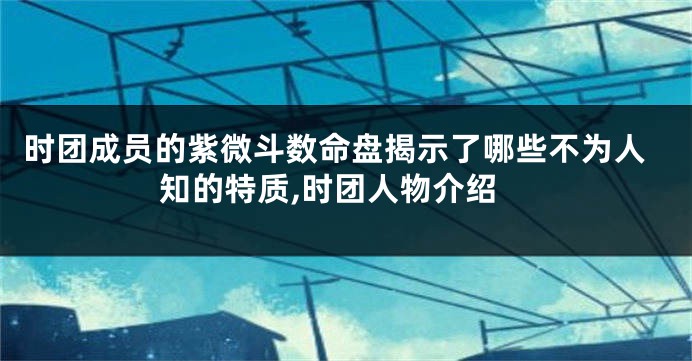 时团成员的紫微斗数命盘揭示了哪些不为人知的特质,时团人物介绍