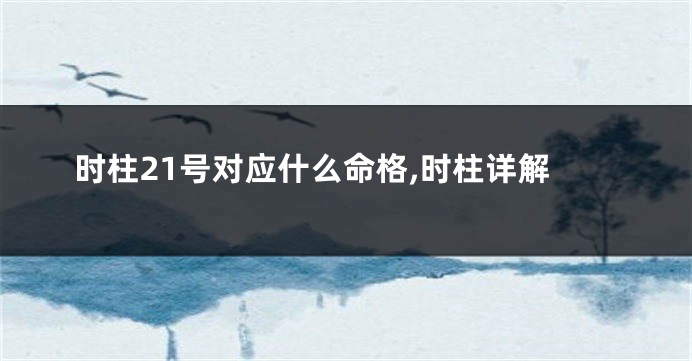 时柱21号对应什么命格,时柱详解