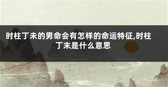 时柱丁未的男命会有怎样的命运特征,时柱丁末是什么意思
