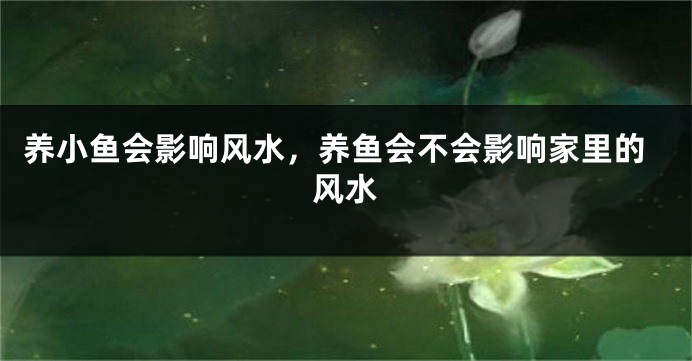 养小鱼会影响风水,养鱼会不会影响家里的风水