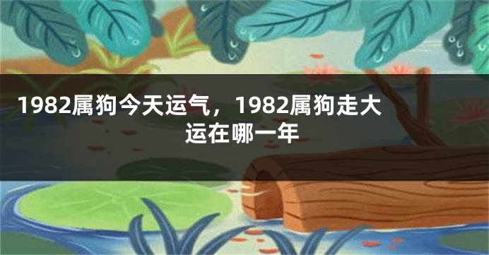 1982属狗今天运气，1982属狗走大运在哪一年