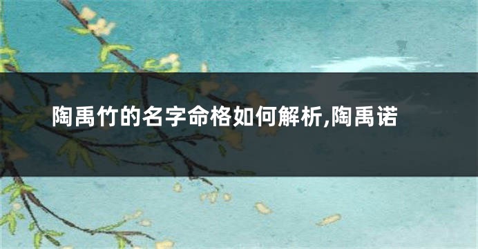 陶禹竹的名字命格如何解析,陶禹诺