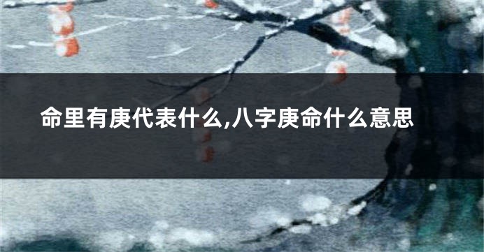 命里有庚代表什么,八字庚命什么意思