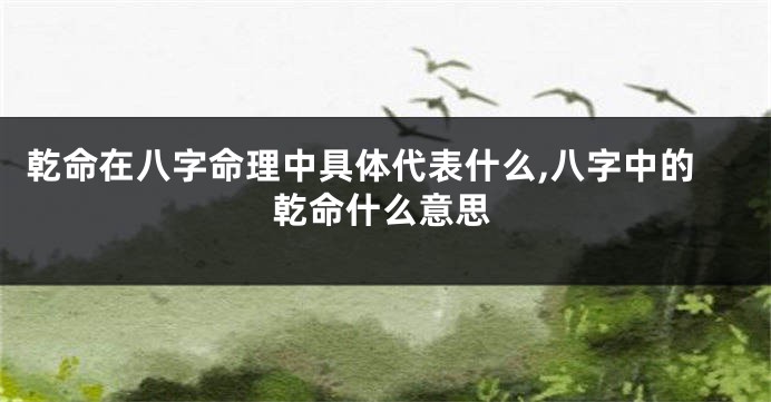 乾命在八字命理中具体代表什么,八字中的乾命什么意思