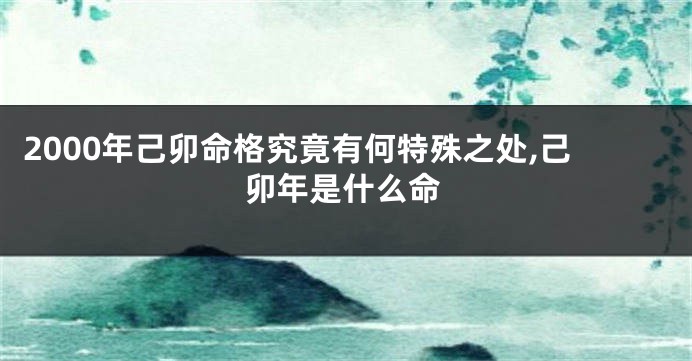 2000年己卯命格究竟有何特殊之处,己卯年是什么命