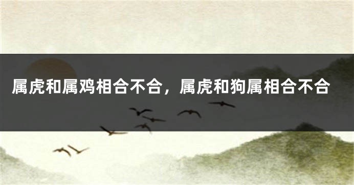 属虎和属鸡相合不合,属虎和狗属相合不合